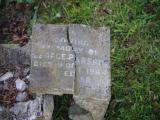 image of grave number 831619